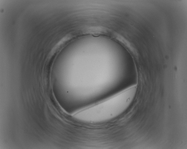 X0000062870203200601131019