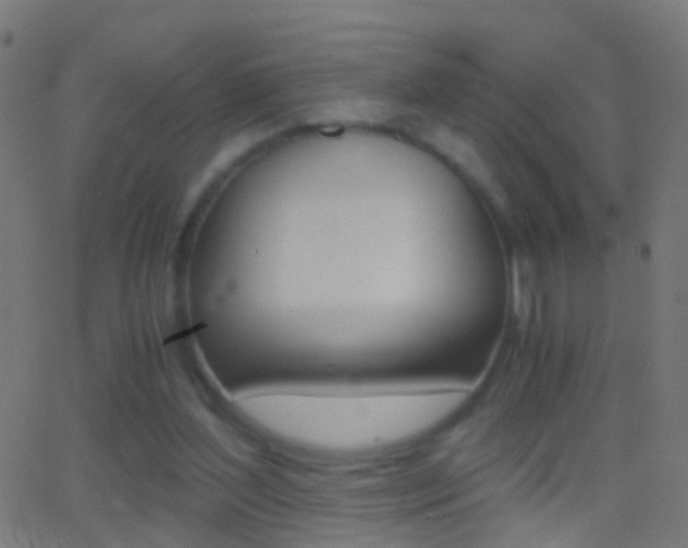 X0000062870204200601131019