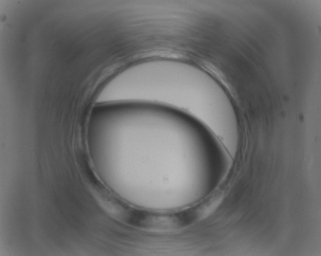 X0000062870205200601131019