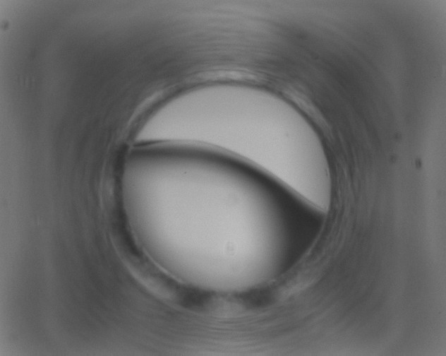 X0000062870207200601131019