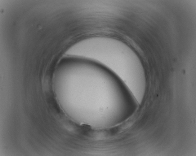 X0000062870209200601131019