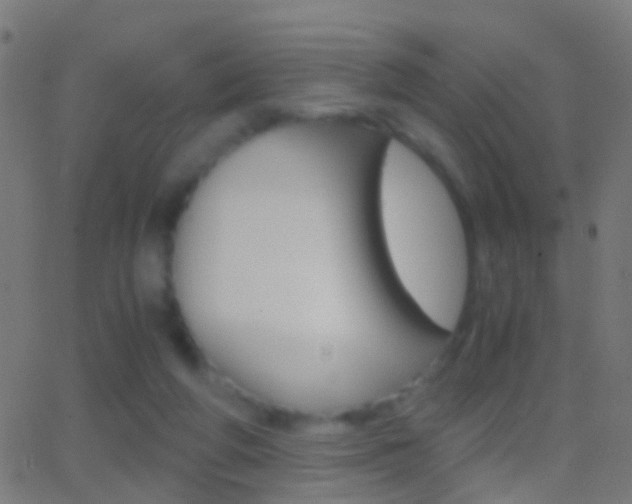 X0000062870210200601131019