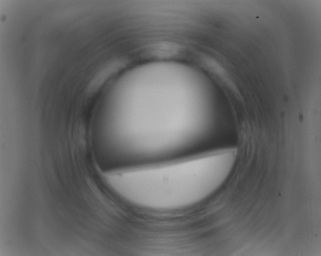 X0000062870212200601131019