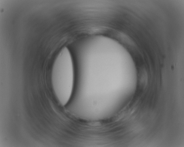 X0000062870214200601131019