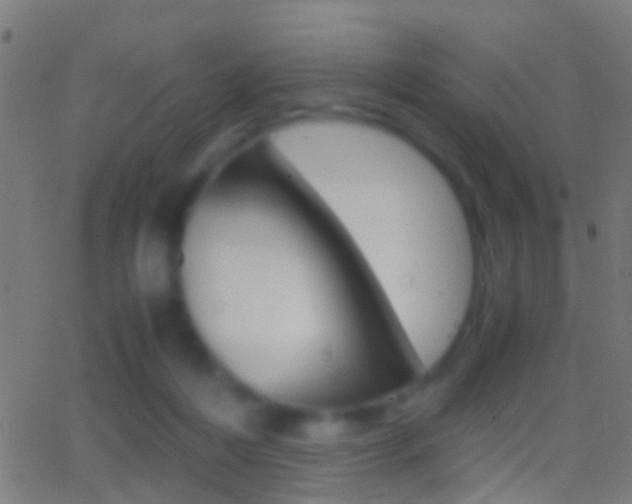 X0000062870216200601131019