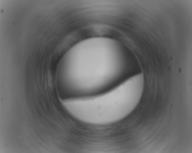 X0000062870220200601131019