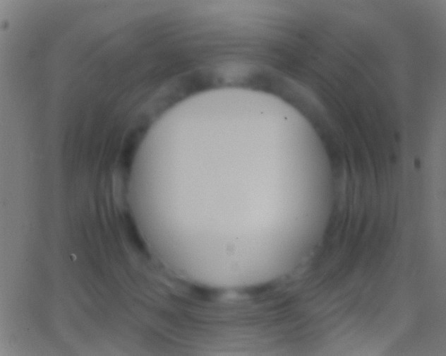 X0000062870222200601131019