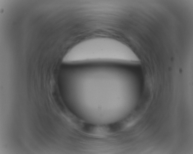 X0000062870223200601131019