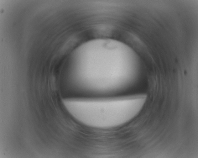 X0000062870224200601131019