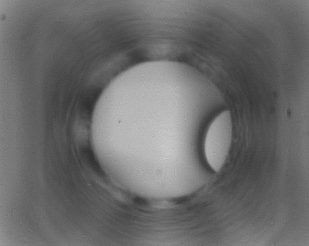 X0000062870226200601131019