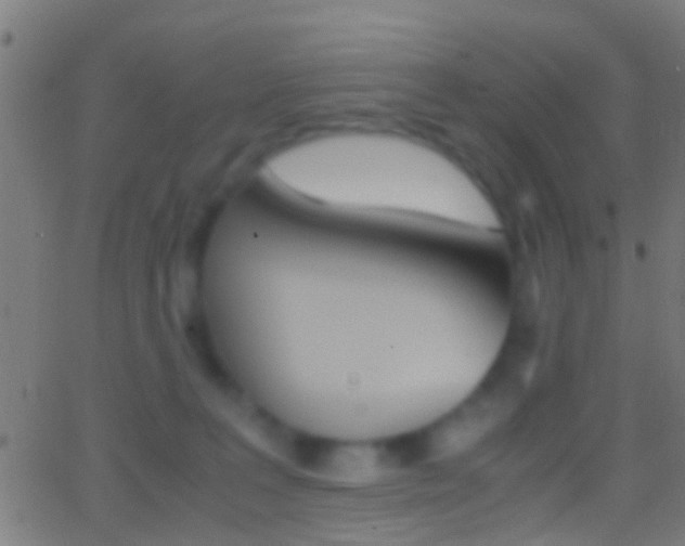 X0000062870227200601131019