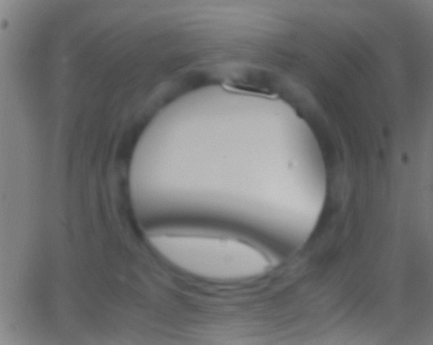 X0000062870229200601131019