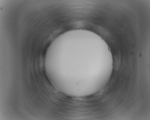 X0000062870230200601131019