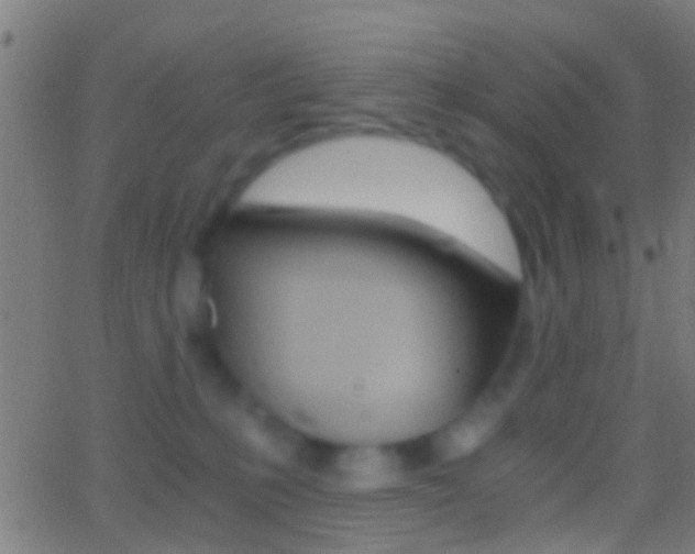 X0000062870231200601131019