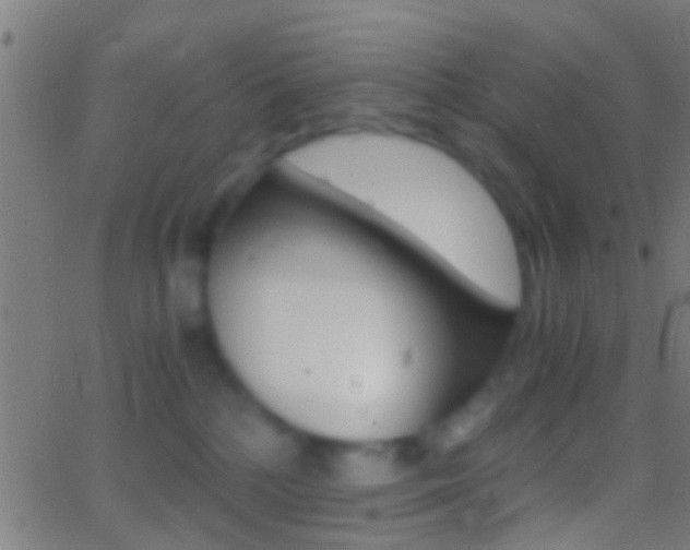 X0000062870232200601131019