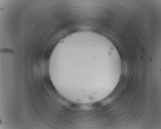 X0000062870236200601131019