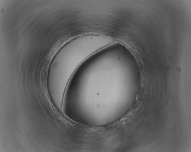 X0000062870241200601131018