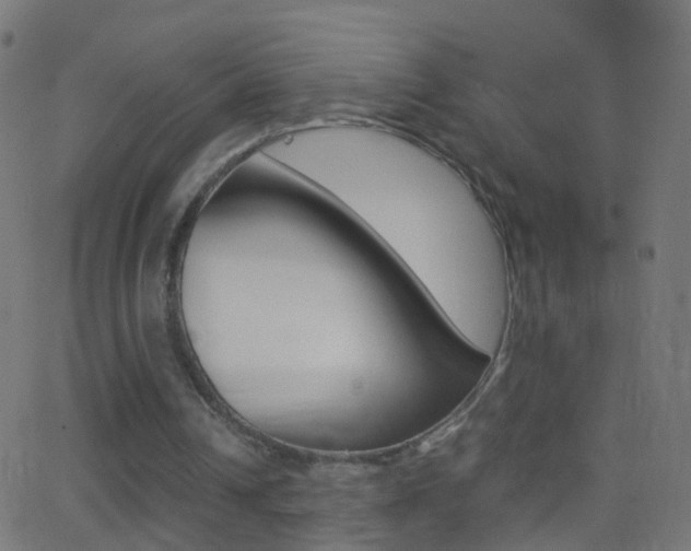 X0000062870242200601131018