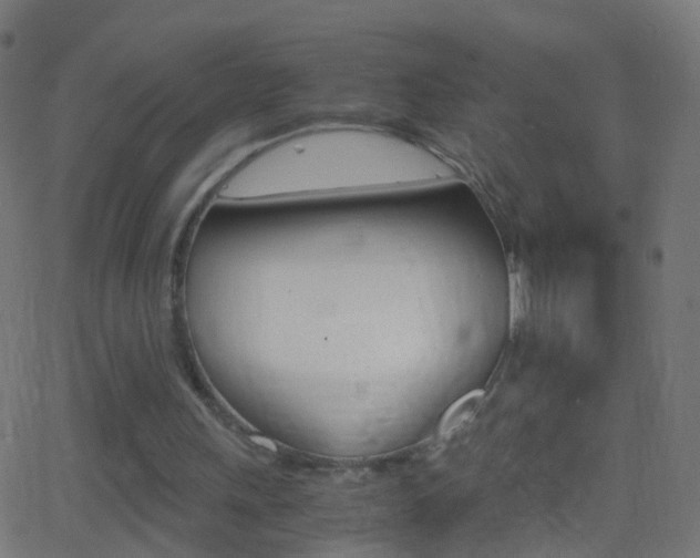 X0000062870243200601131018