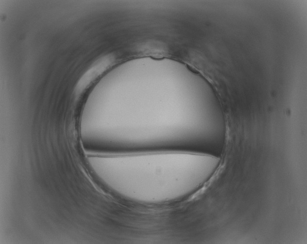 X0000062870245200601131018