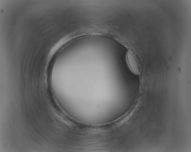 X0000062870246200601131018