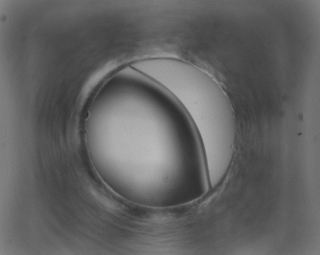 X0000062870248200601131018