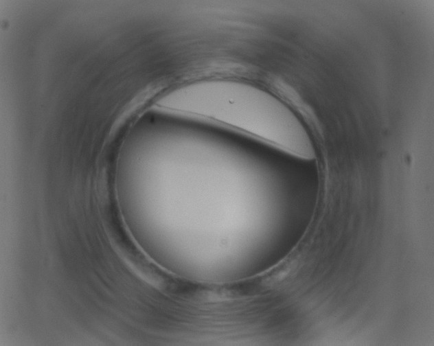 X0000062870250200601131018