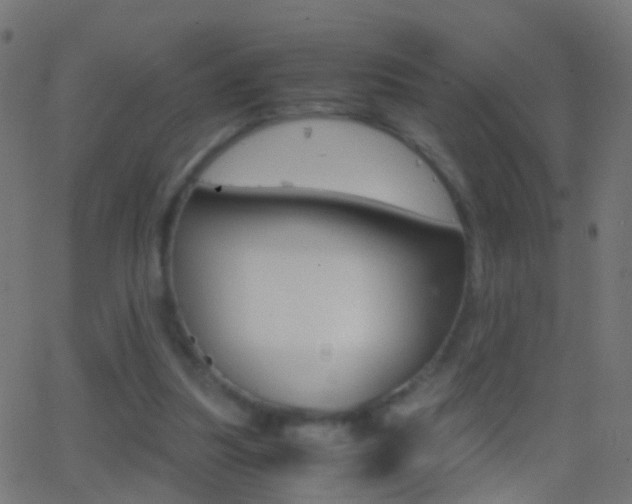 X0000062870251200601131018