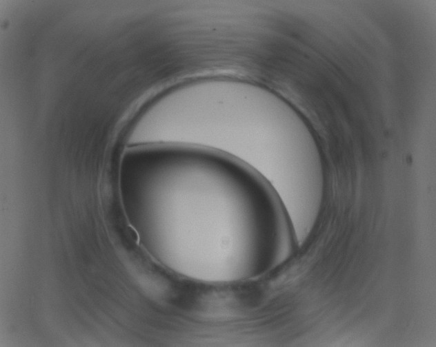 X0000062870252200601131018