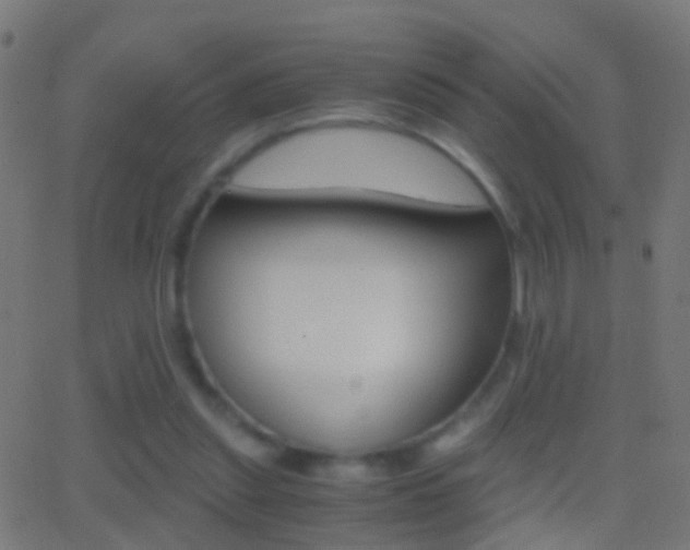 X0000062870253200601131018