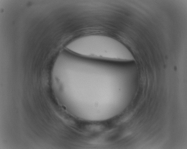 X0000062870255200601131018