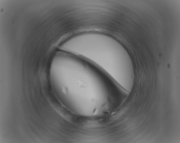 X0000062870256200601131018