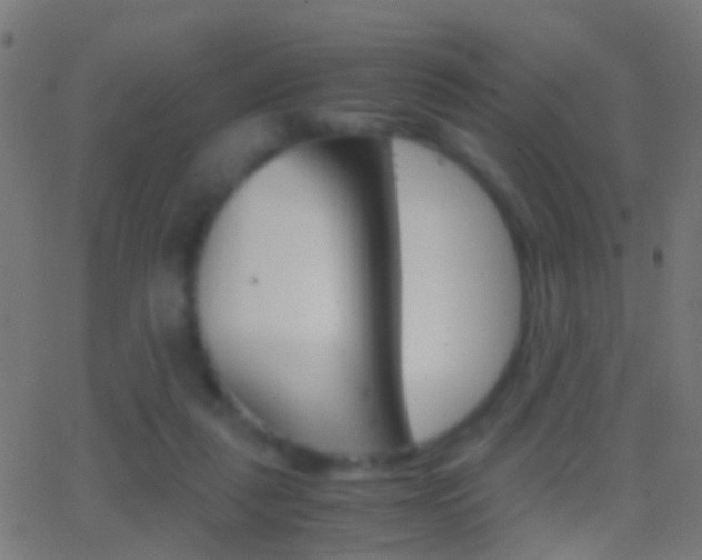 X0000062870259200601131018