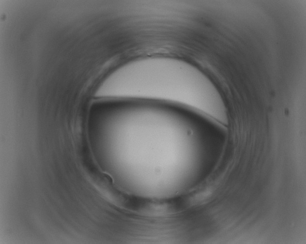 X0000062870260200601131018