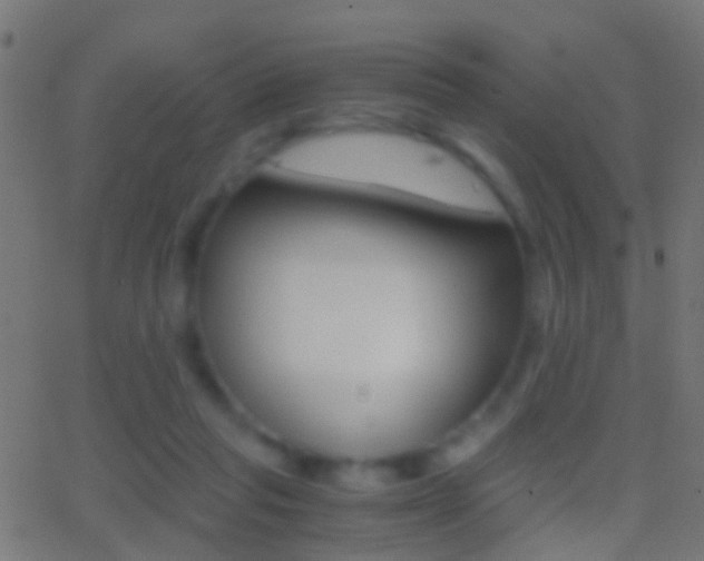 X0000062870261200601131018