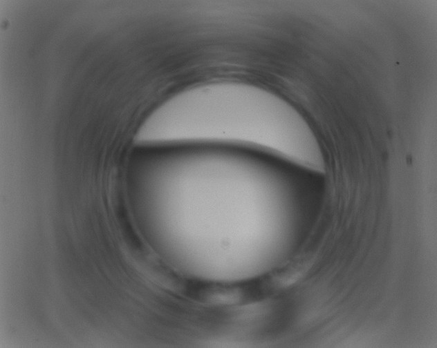 X0000062870263200601131018