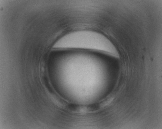 X0000062870264200601131018