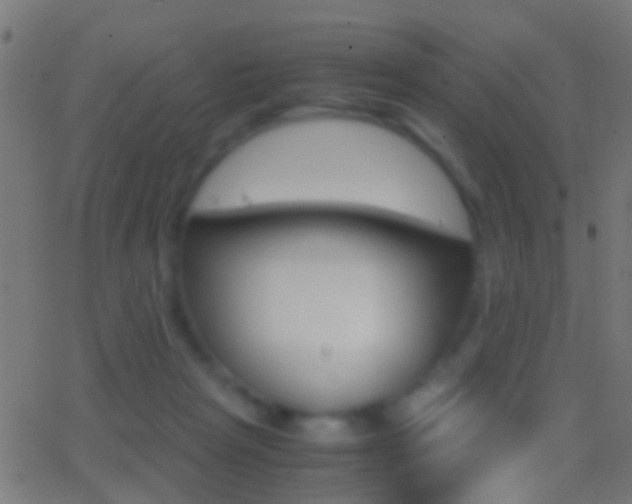 X0000062870265200601131018