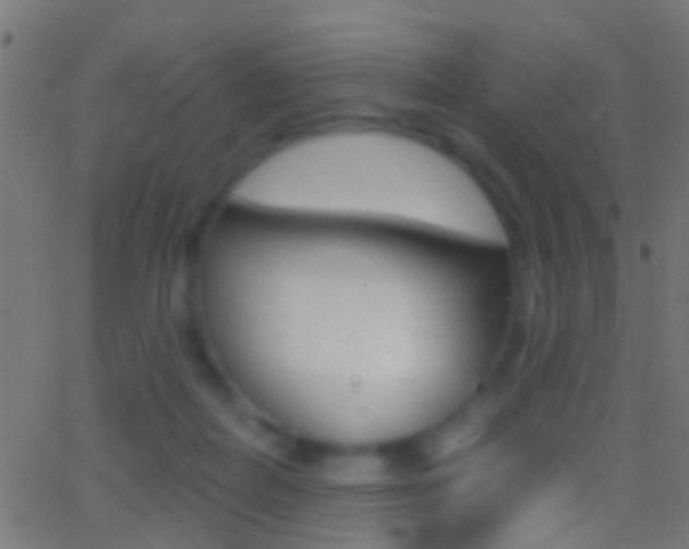 X0000062870266200601131018