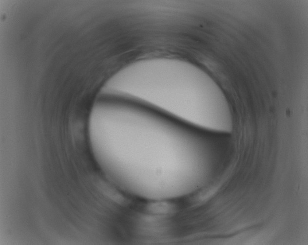 X0000062870269200601131018