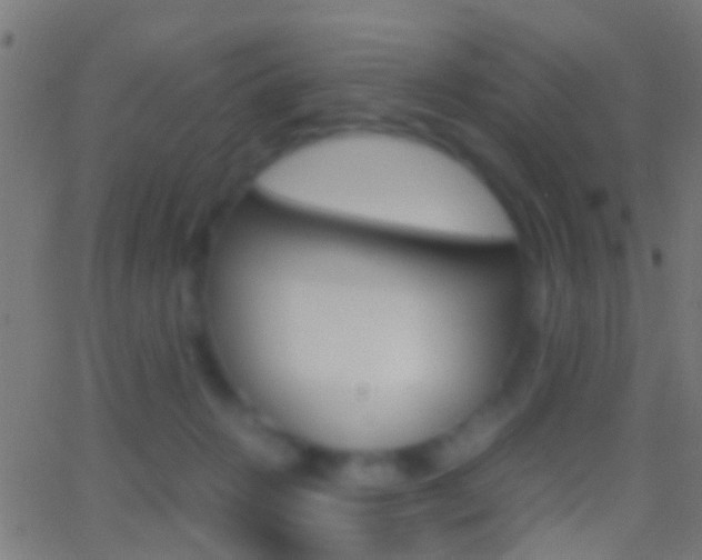 X0000062870270200601131018