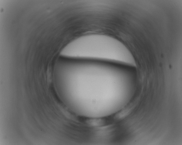 X0000062870273200601131018