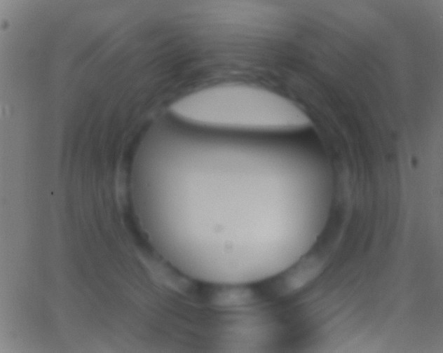 X0000062870274200601131018