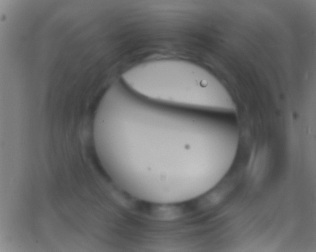 X0000062870277200601131018