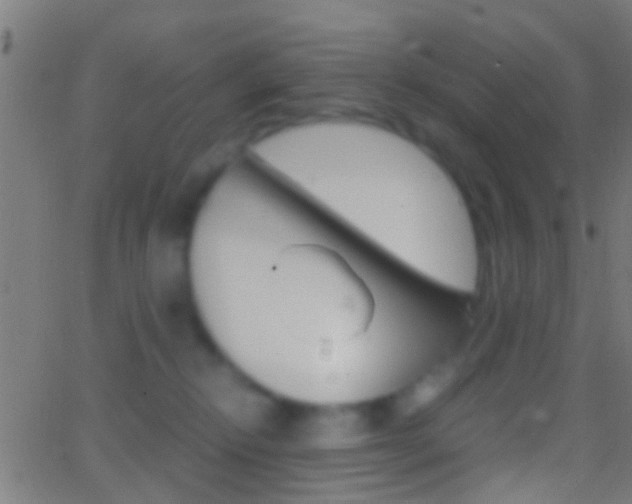 X0000062870278200601131019