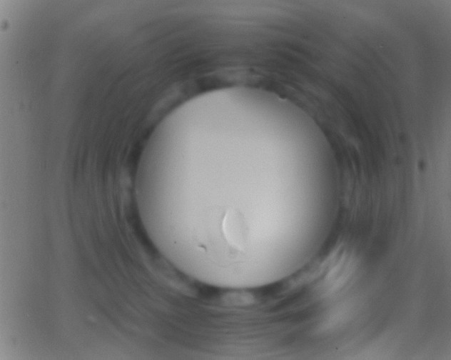 X0000062870279200601131019