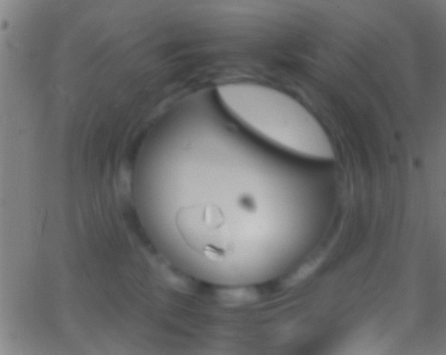 X0000062870281200601131019