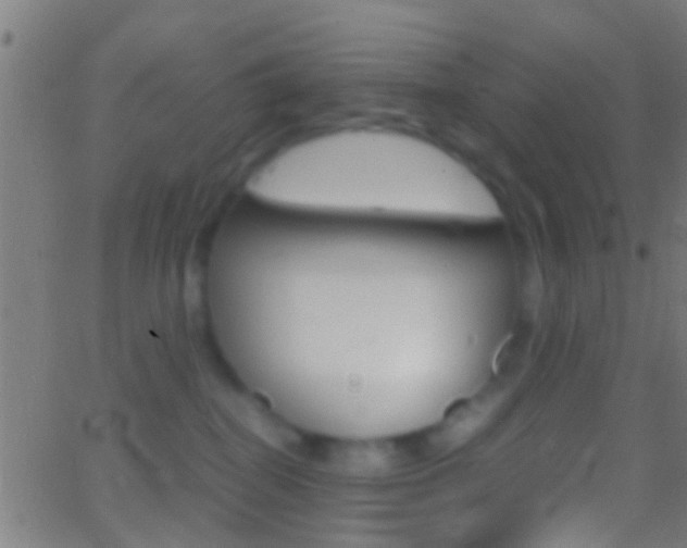 X0000062870282200601131019