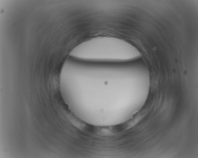 X0000062870285200601131019