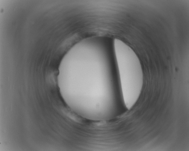 X0000062870286200601131019